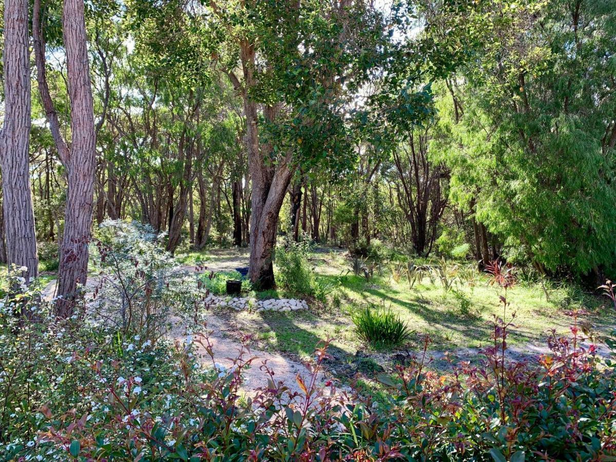 לינה וארוחת בוקר מרגרט ריבר Wilderness House מראה חיצוני תמונה